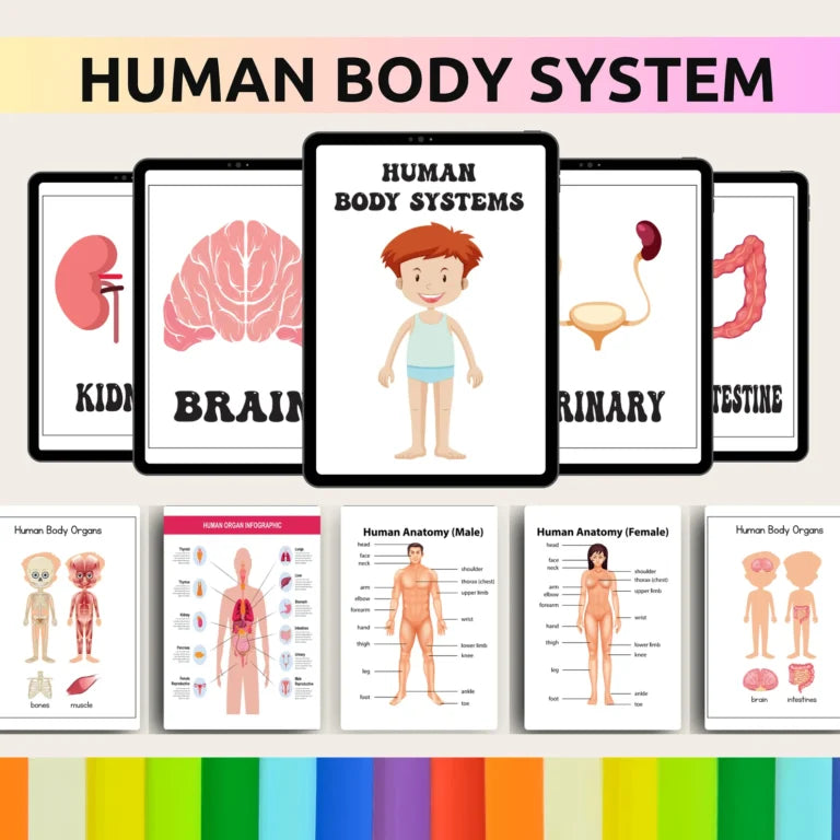 35,000+ Done-for-You Educational Resources Bundle – Instant Access with MRR/PLR